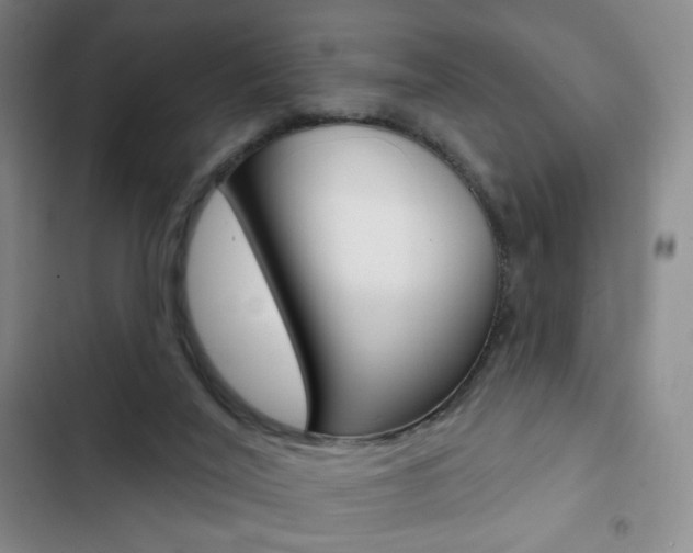 X0000103150020200808221139