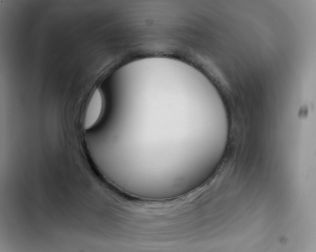 X0000103150021200808221139