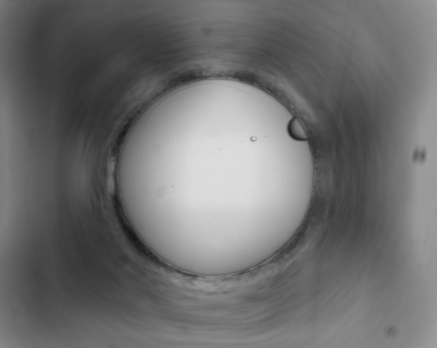 X0000103150022200808221139