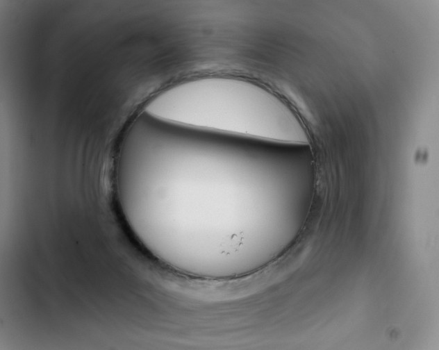 X0000103150023200808221139
