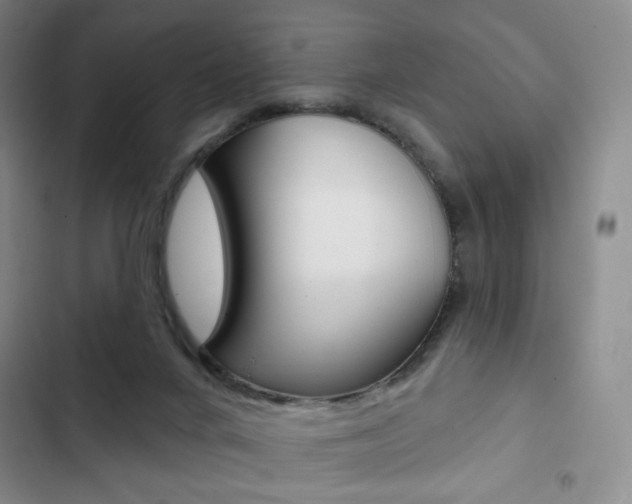 X0000103150024200808221139