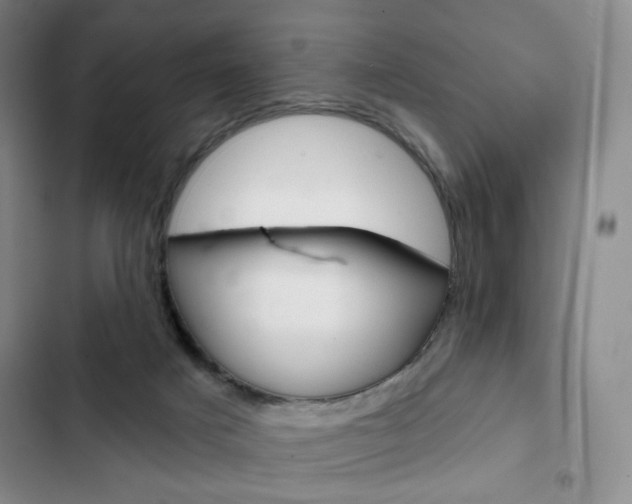 X0000103150025200808221139