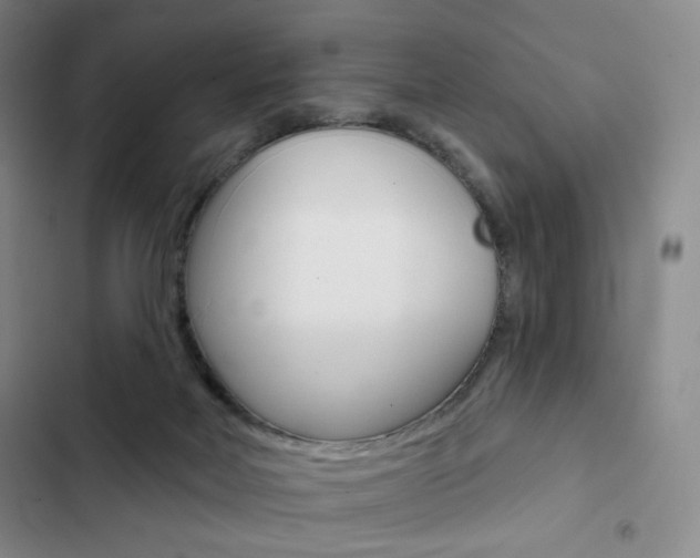 X0000103150026200808221139