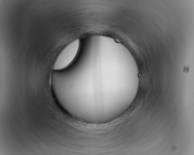 X0000103150027200808221139