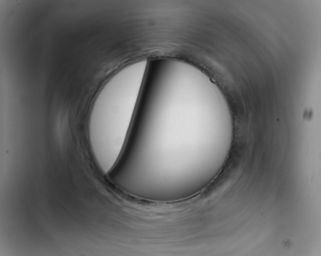 X0000103150028200808221139