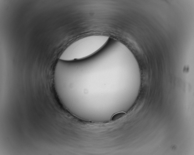 X0000103150029200808221139