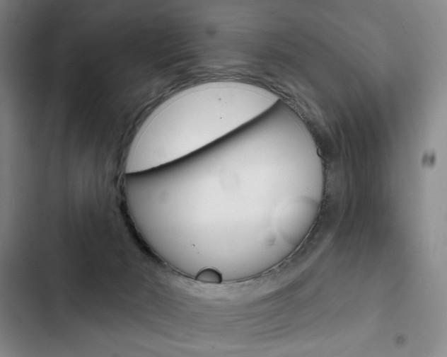 X0000103150030200808221139