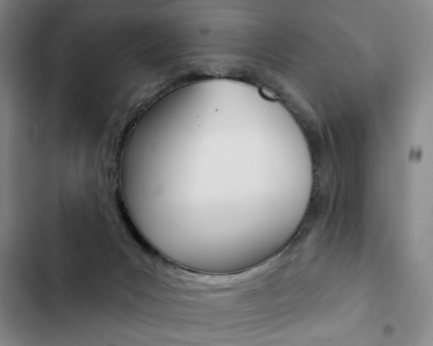 X0000103150031200808221139