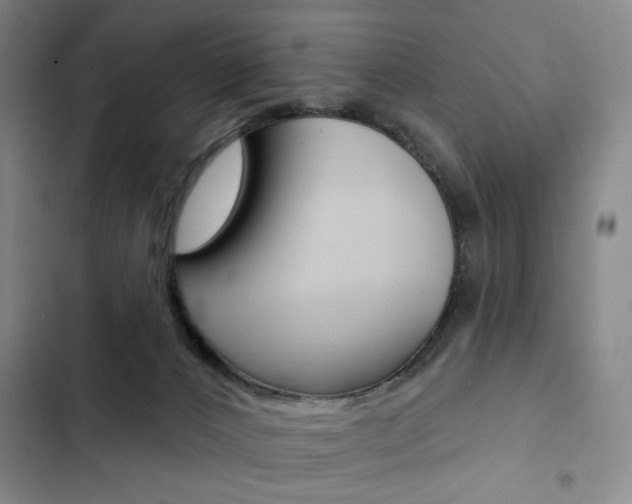 X0000103150032200808221139