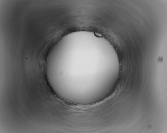 X0000103150033200808221139