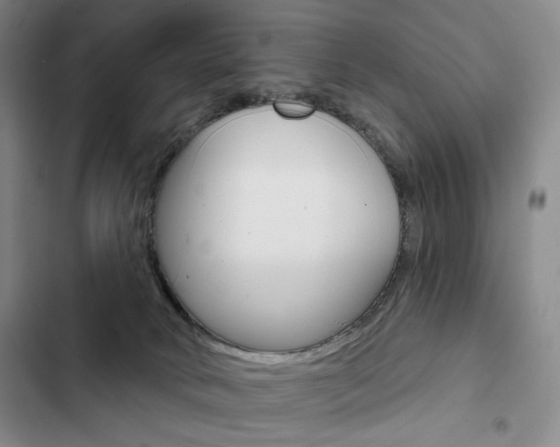 X0000103150034200808221139