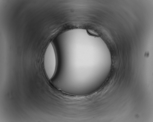 X0000103150036200808221139