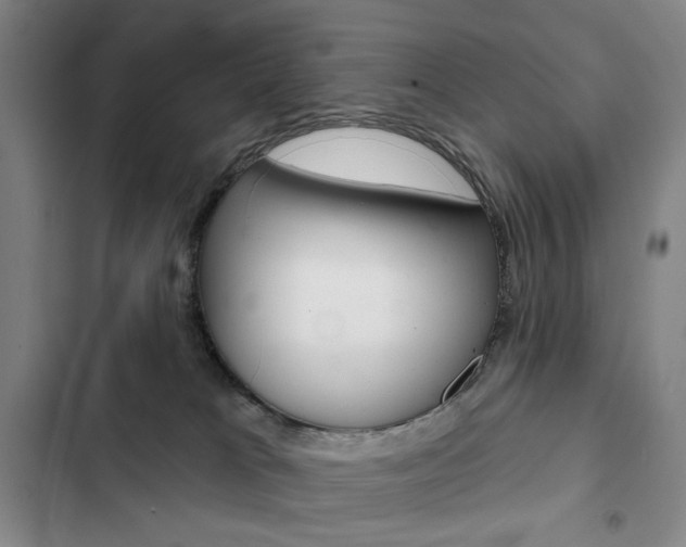 X0000103150037200808221139