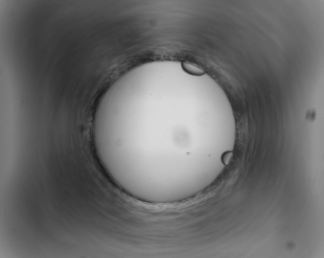 X0000103150038200808221139