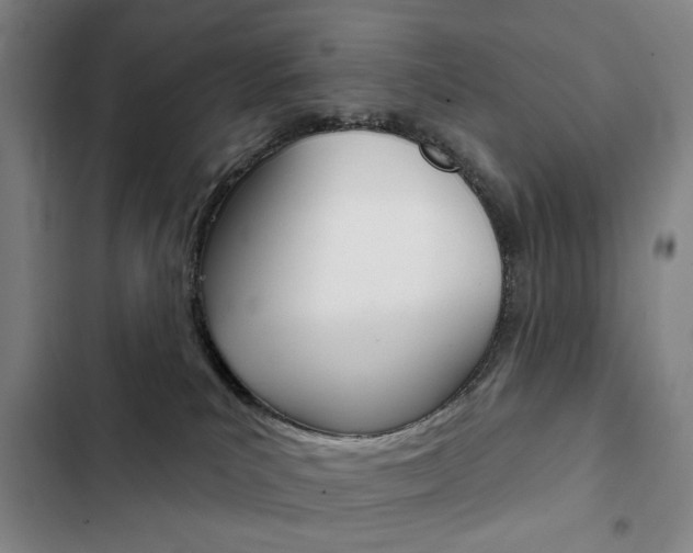 X0000103150039200808221139