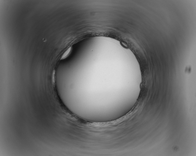 X0000103150041200808221139