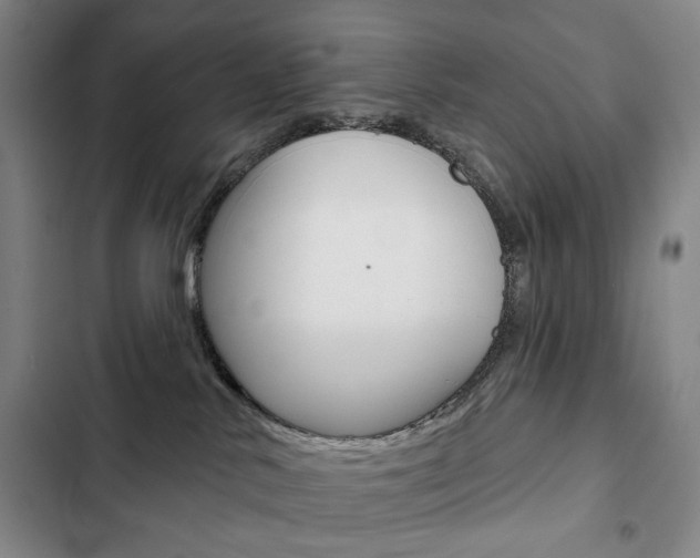 X0000103150042200808221139