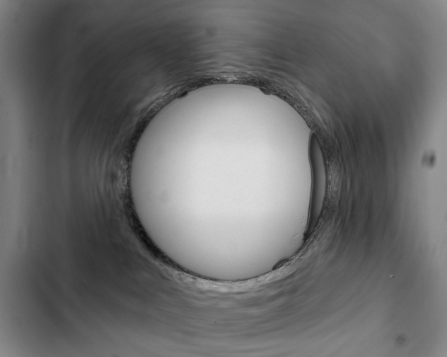 X0000103150043200808221139