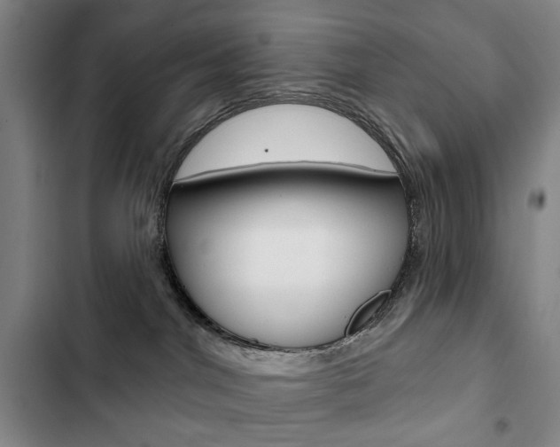 X0000103150044200808221139