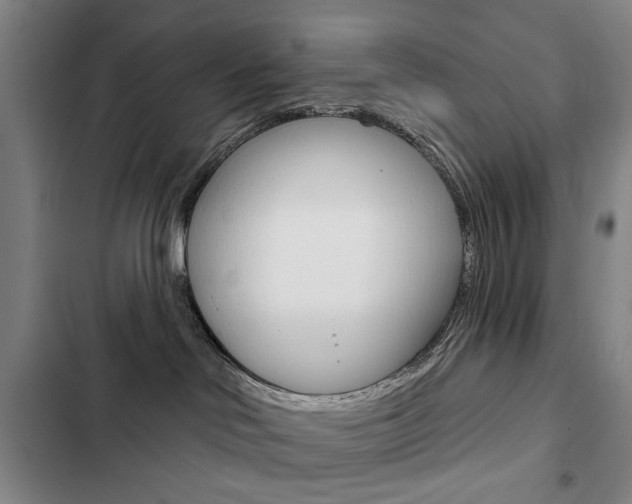 X0000103150046200808221139