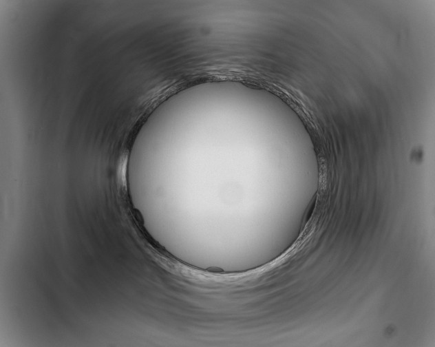 X0000103150047200808221139