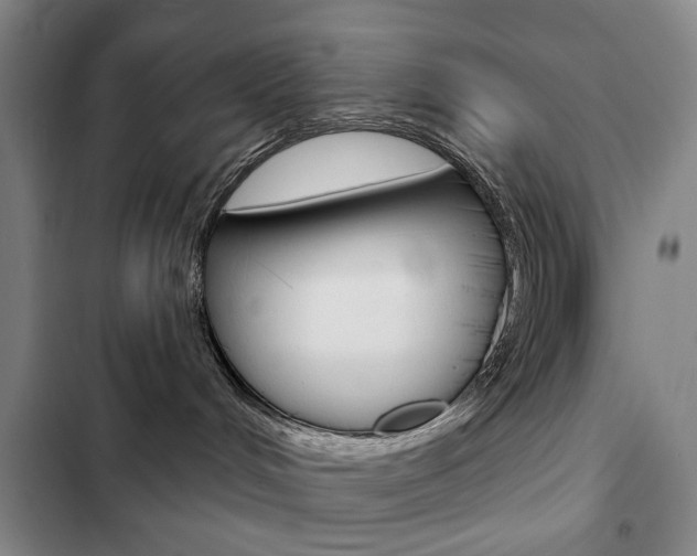 X0000103150048200808221138
