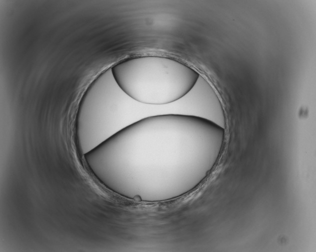 X0000103150049200808221138