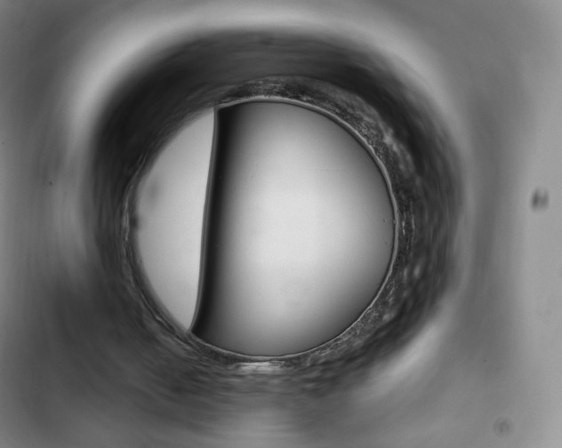 X0000103150050200808221138