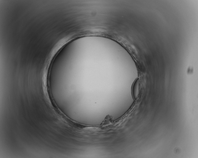 X0000103150051200808221138