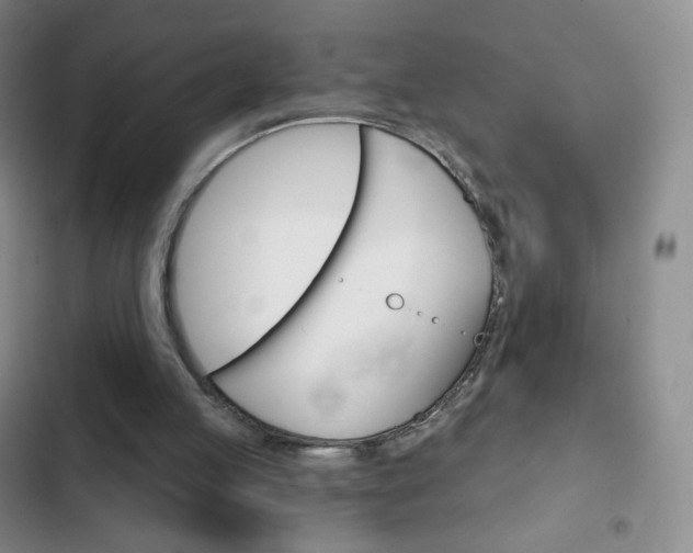 X0000103150053200808221138