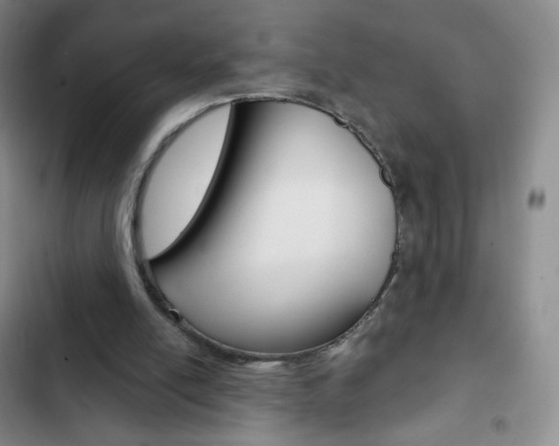 X0000103150054200808221138