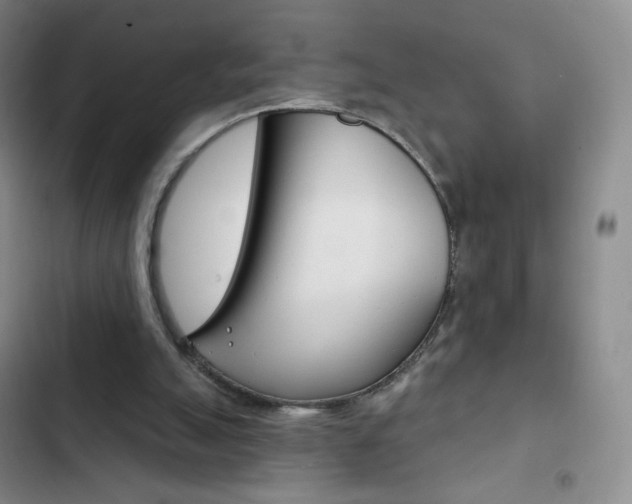 X0000103150055200808221138