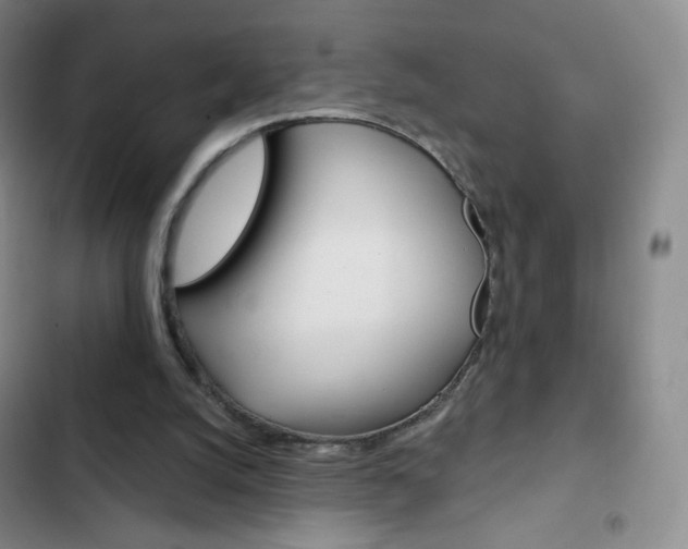 X0000103150056200808221138