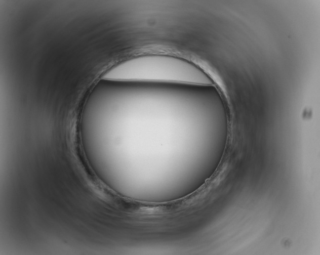 X0000103150057200808221138