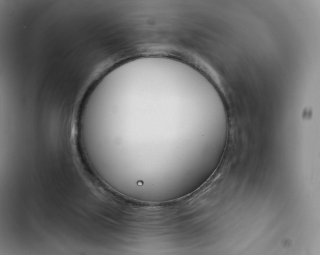 X0000103150059200808221138