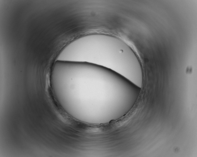 X0000103150061200808221138