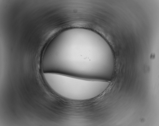 X0000103150062200808221138