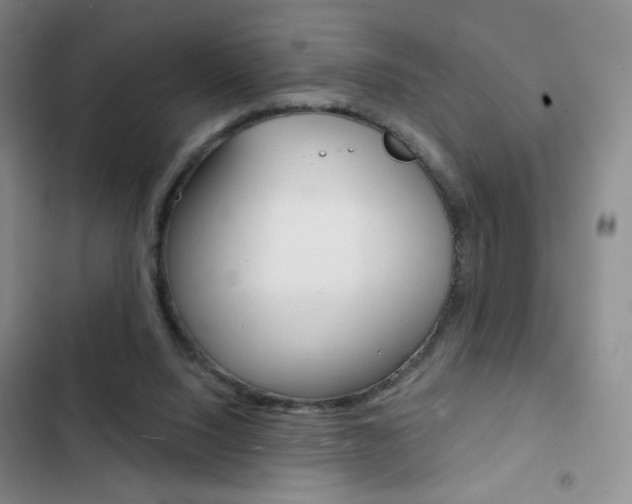 X0000103150064200808221138