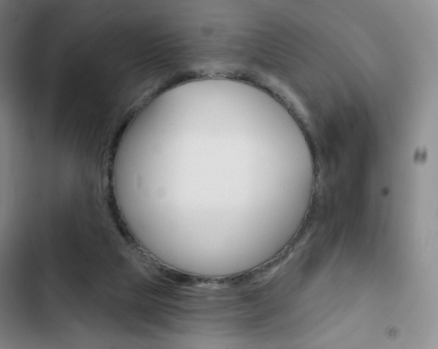 X0000103150065200808221138