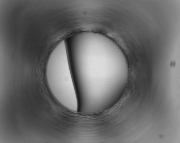 X0000103150066200808221138