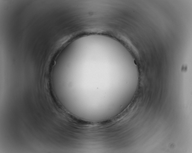 X0000103150068200808221138