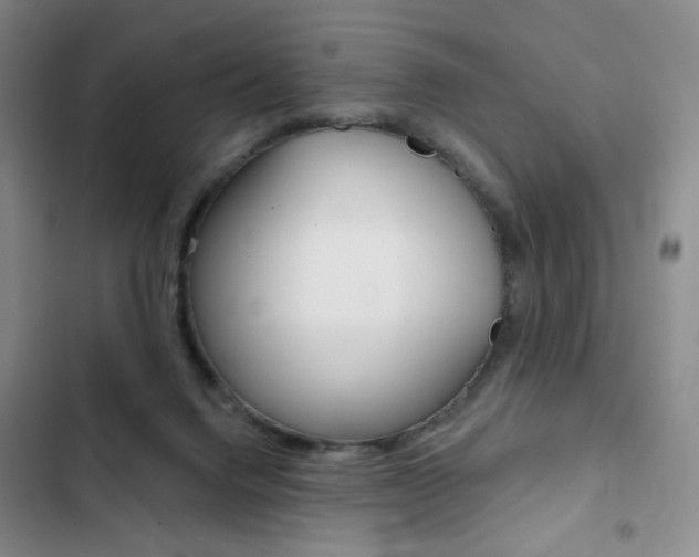 X0000103150072200808221138