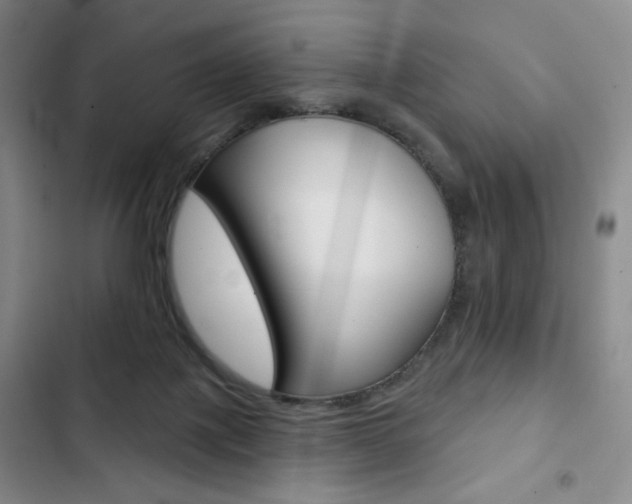 X0000103150075200808221138