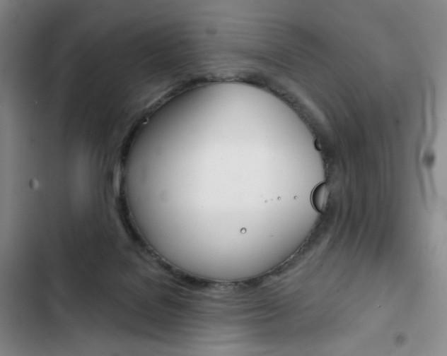 X0000103150076200808221138