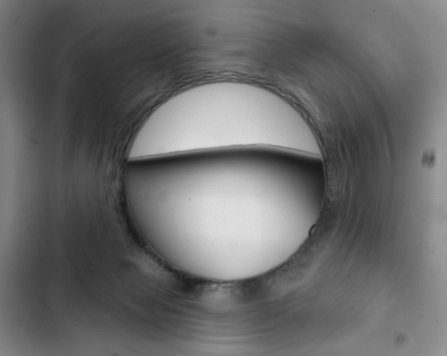 X0000103150077200808221138