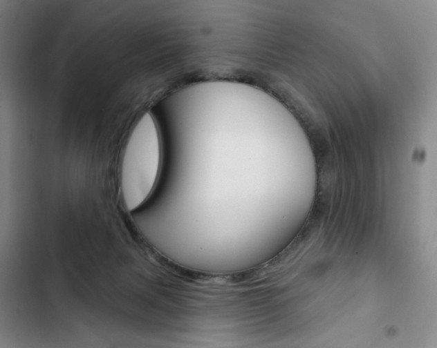 X0000103150079200808221138