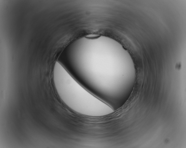 X0000103150085200808221138