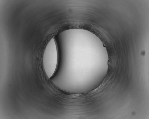 X0000103150086200808221138