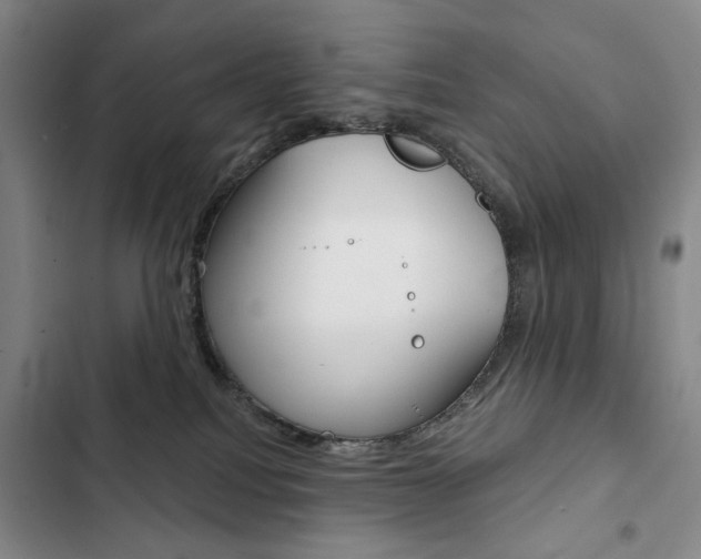 X0000103150088200808221138