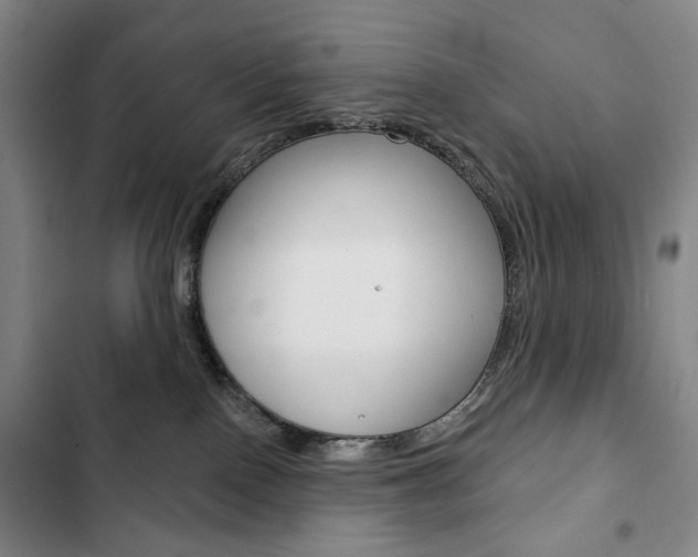 X0000103150090200808221138